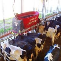 Автоматический самоходный робот кормления Triomatic