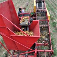 Картофелеуборочный комбайн ККУ-1