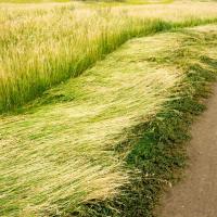 Косилка сегментная 9G-1.8