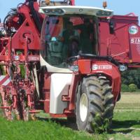 Самоходные морковоуборочные комбайн Simon Liner / Cruiser