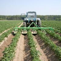 Культиватор-гребнеобразователь КОЛНАГ КГП-4×70-75