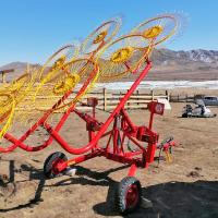 Грабли-валкообразователи ГВВ-6А