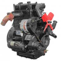 Дизельный двигатель TY295