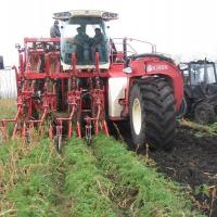 Самоходные морковоуборочные комбайн Simon Liner / Cruiser