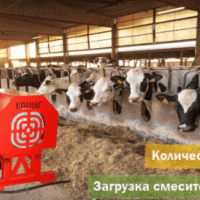 Стационарный смеситель-кормораздатчик Trioliet Solomix 12ZK Stat с электроприводом