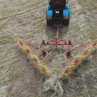 Грабли-валкообразователи ГВВ-6А