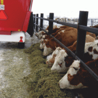 Смеситель-кормораздатчик Trioliet Solomix 1 7ZK