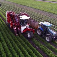 Самоходные морковоуборочные комбайн Simon Liner / Cruiser