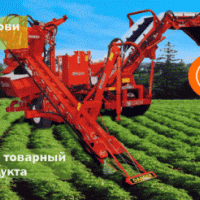 Морковоуборочный комбайн Simon S3